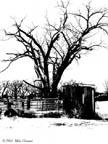 outhouse